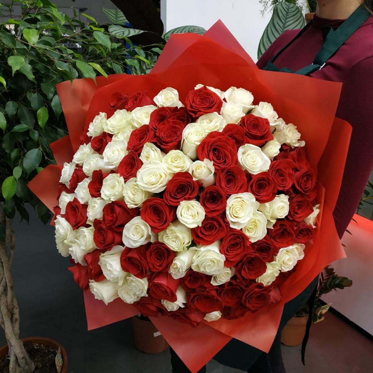 Букет из 101 розы (красные и белые розы) №: 116212