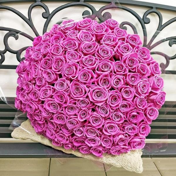 Розовые розы Эквадор 101 шт (50 см) артикул  202912